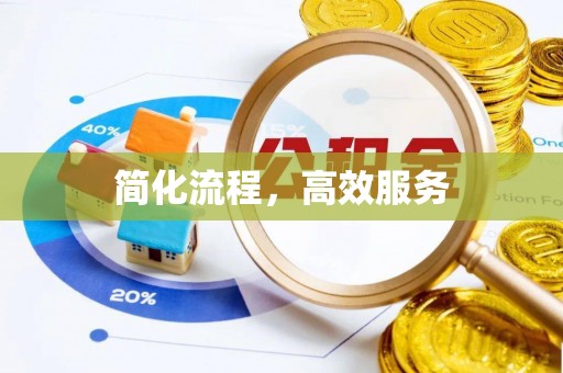 云龙简化流程，高效服务