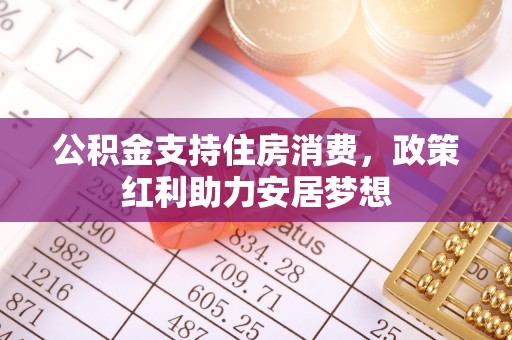 云龙公积金支持住房消费，政策红利助力安居梦想