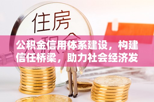 云龙公积金信用体系建设，构建信任桥梁，助力社会经济发展