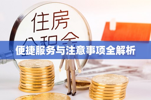 云龙便捷服务与注意事项全解析