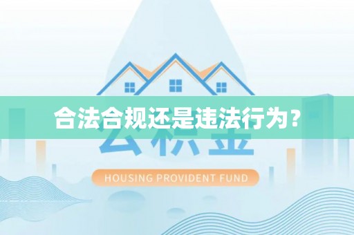云龙合法合规还是违法行为？
