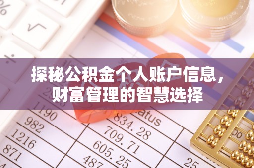云龙探秘公积金个人账户信息，财富管理的智慧选择