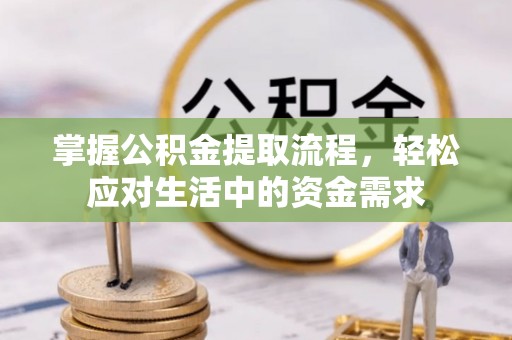 云龙掌握公积金提取流程，轻松应对生活中的资金需求