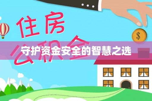 云龙守护资金安全的智慧之选