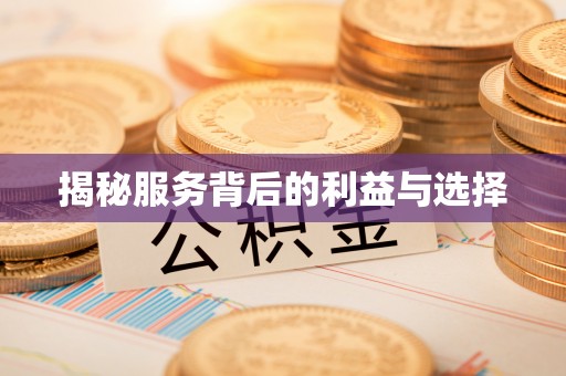 云龙揭秘服务背后的利益与选择