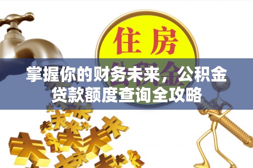 云龙掌握你的财务未来，公积金贷款额度查询全攻略