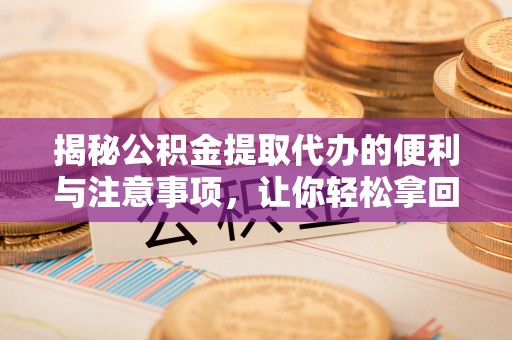 云龙揭秘公积金提取代办的便利与注意事项，让你轻松拿回属于你的钱！