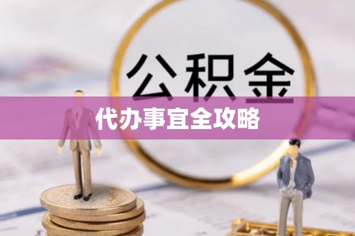 云龙代办事宜全攻略