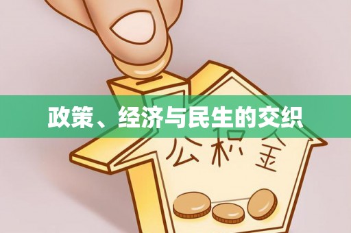 云龙政策、经济与民生的交织