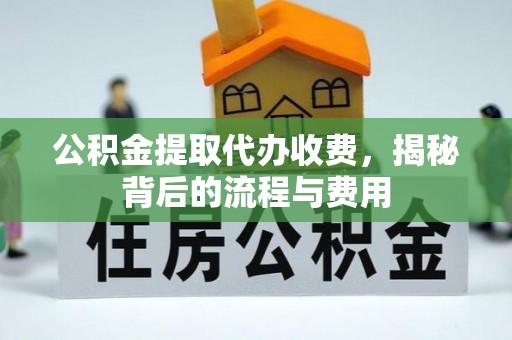 云龙公积金提取代办收费，揭秘背后的流程与费用