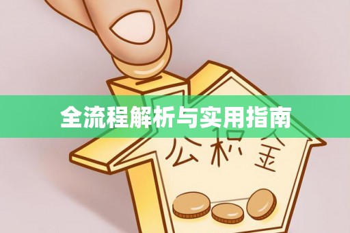 云龙全流程解析与实用指南