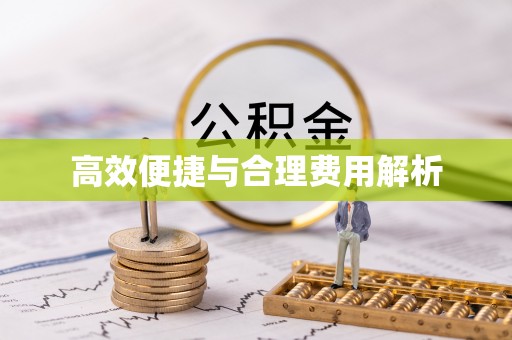 云龙高效便捷与合理费用解析