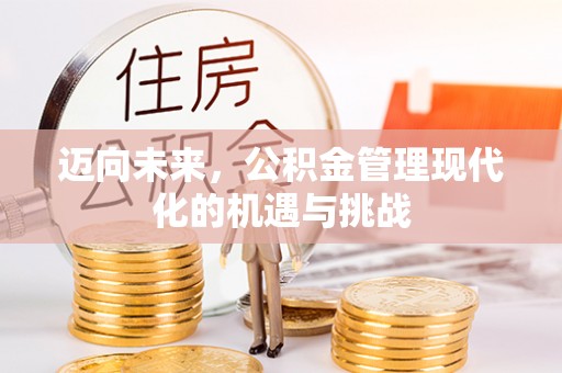 云龙迈向未来，公积金管理现代化的机遇与挑战
