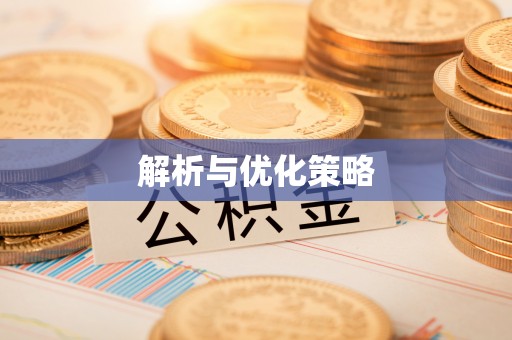 云龙解析与优化策略