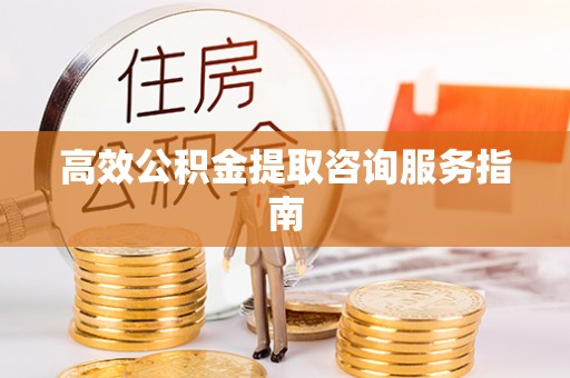 云龙高效公积金提取咨询服务指南
