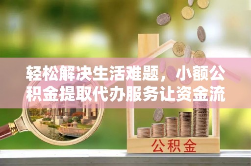 云龙轻松解决生活难题，小额公积金提取代办服务让资金流动更便捷