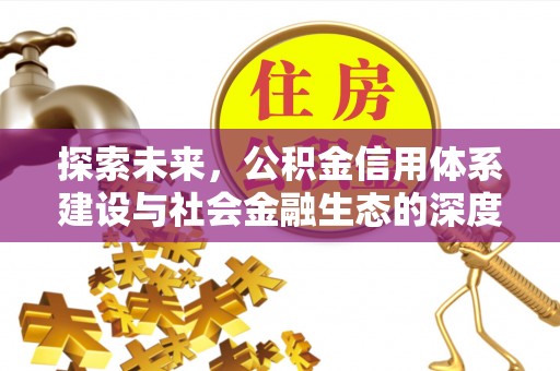 云龙探索未来，公积金信用体系建设与社会金融生态的深度融合