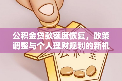云龙公积金贷款额度恢复，政策调整与个人理财规划的新机遇