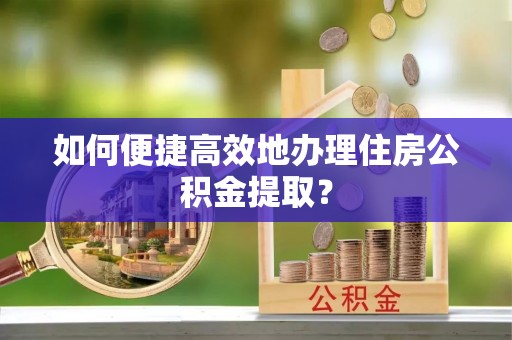 云龙如何便捷高效地办理住房公积金提取？