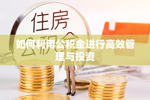 云龙如何利用公积金进行高效管理与投资