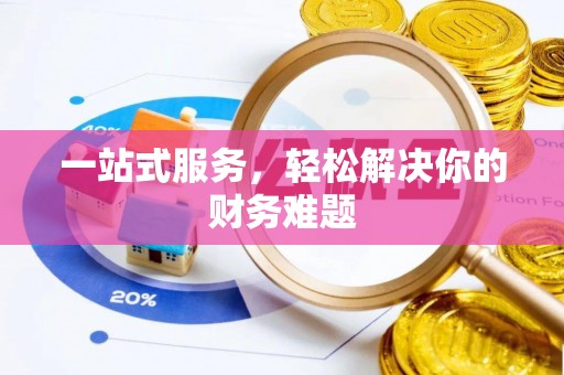 云龙一站式服务，轻松解决你的财务难题