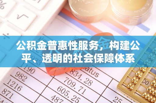 云龙公积金普惠性服务，构建公平、透明的社会保障体系