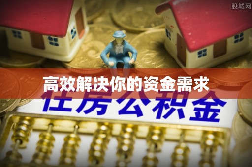 云龙高效解决你的资金需求