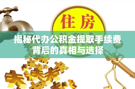 云龙揭秘代办公积金提取手续费背后的真相与选择