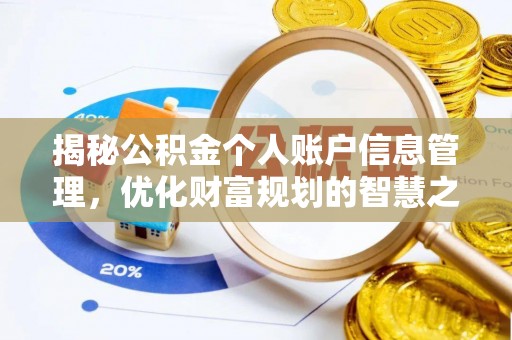 云龙揭秘公积金个人账户信息管理，优化财富规划的智慧之选
