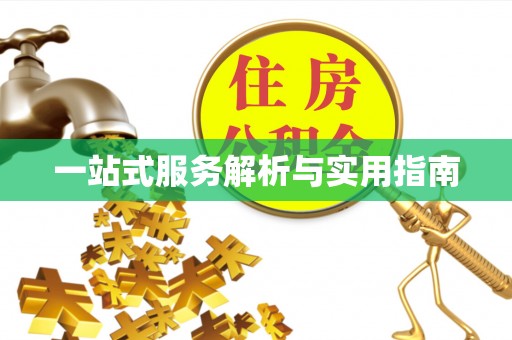 云龙一站式服务解析与实用指南