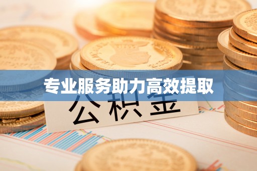 云龙专业服务助力高效提取