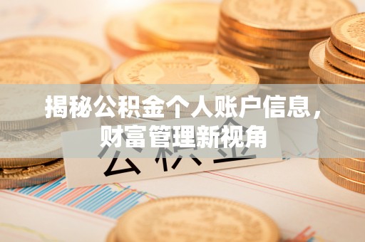 云龙揭秘公积金个人账户信息，财富管理新视角