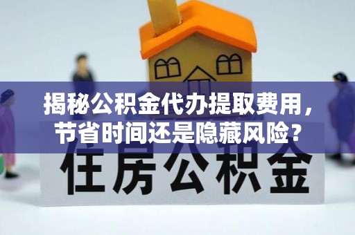 云龙揭秘公积金代办提取费用，节省时间还是隐藏风险？