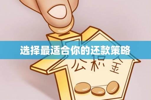 云龙选择最适合你的还款策略