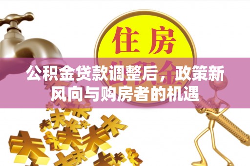 云龙公积金贷款调整后，政策新风向与购房者的机遇