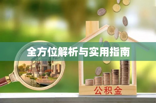 云龙全方位解析与实用指南