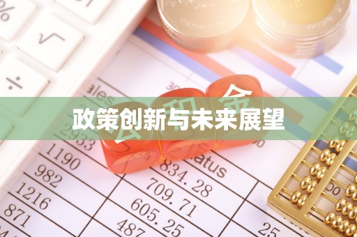 云龙政策创新与未来展望