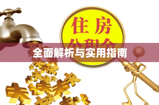 云龙全面解析与实用指南