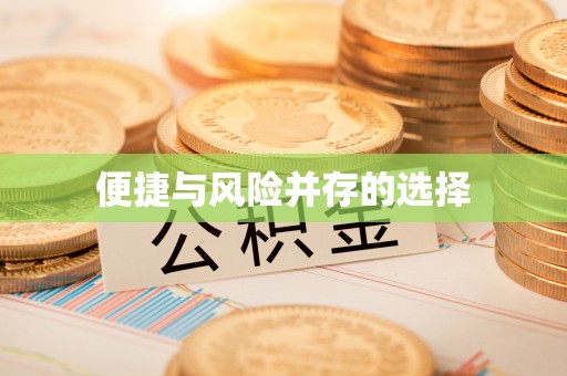 云龙便捷与风险并存的选择