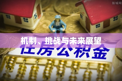 云龙机制、挑战与未来展望