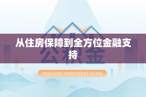 云龙从住房保障到全方位金融支持
