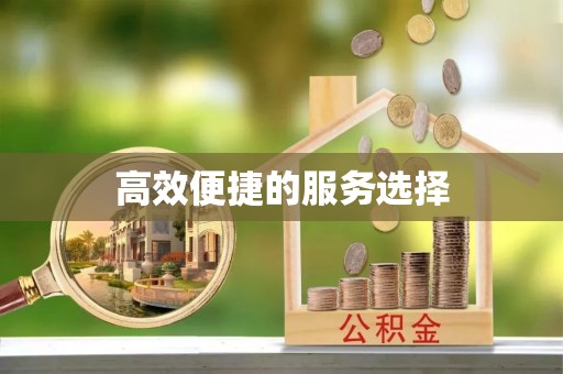 云龙高效便捷的服务选择