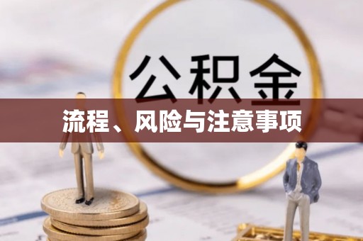 云龙流程、风险与注意事项