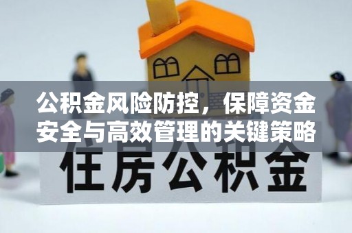 云龙公积金风险防控，保障资金安全与高效管理的关键策略
