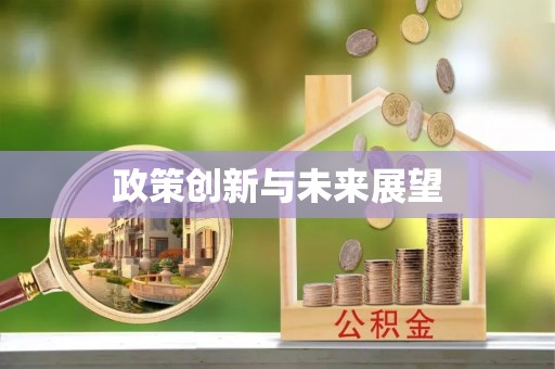 云龙政策创新与未来展望