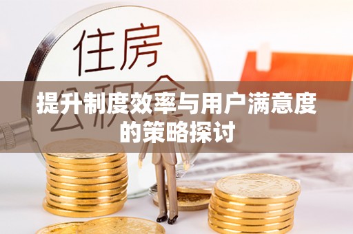 云龙提升制度效率与用户满意度的策略探讨