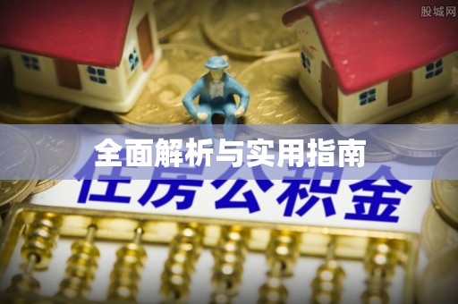云龙全面解析与实用指南