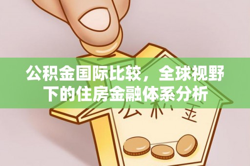 云龙公积金国际比较，全球视野下的住房金融体系分析