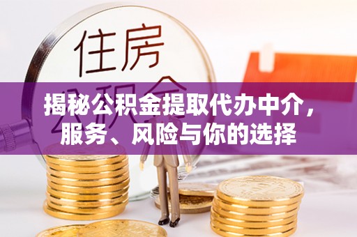 云龙揭秘公积金提取代办中介，服务、风险与你的选择