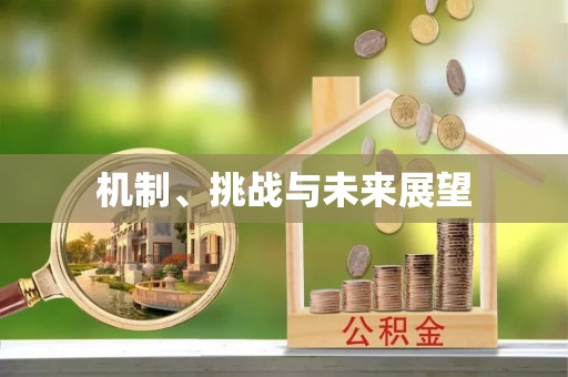 云龙机制、挑战与未来展望